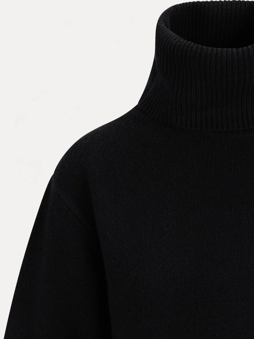 Arwyn Ss Turtleneck