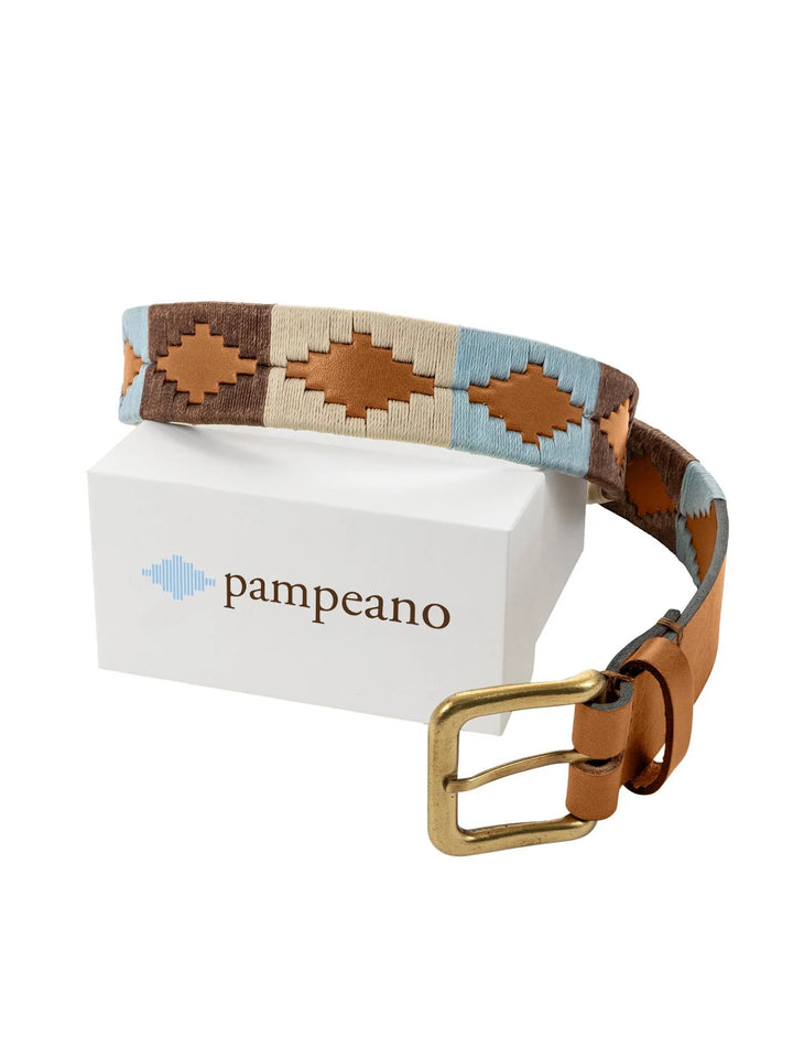 Pampeano desierto