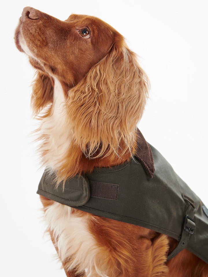 Barbour Wax Dog Coat