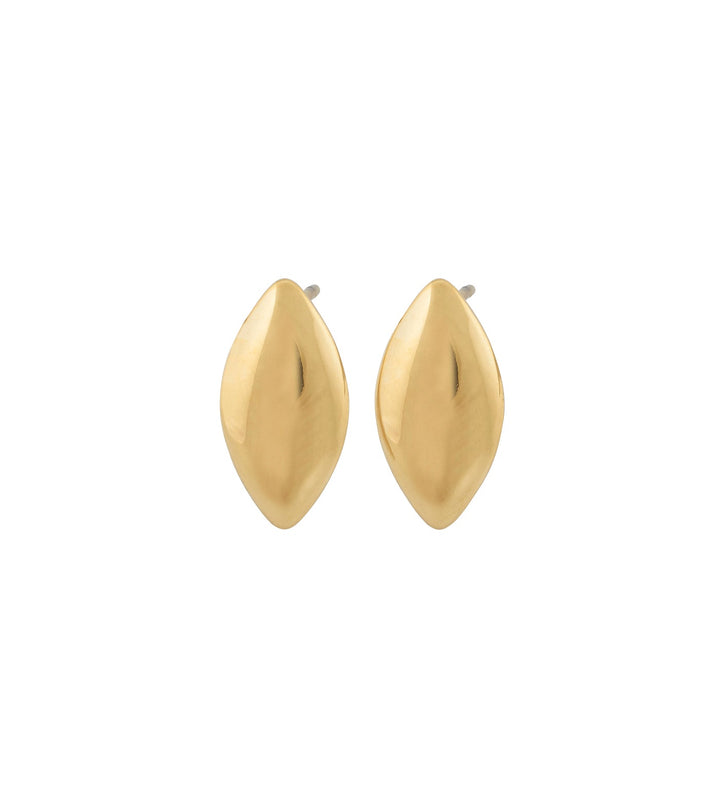 Callisia studs gold