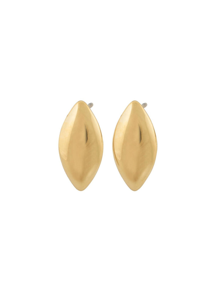 Callisia studs gold