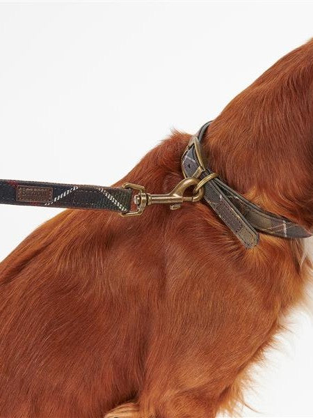 Tartan Dog Lead
