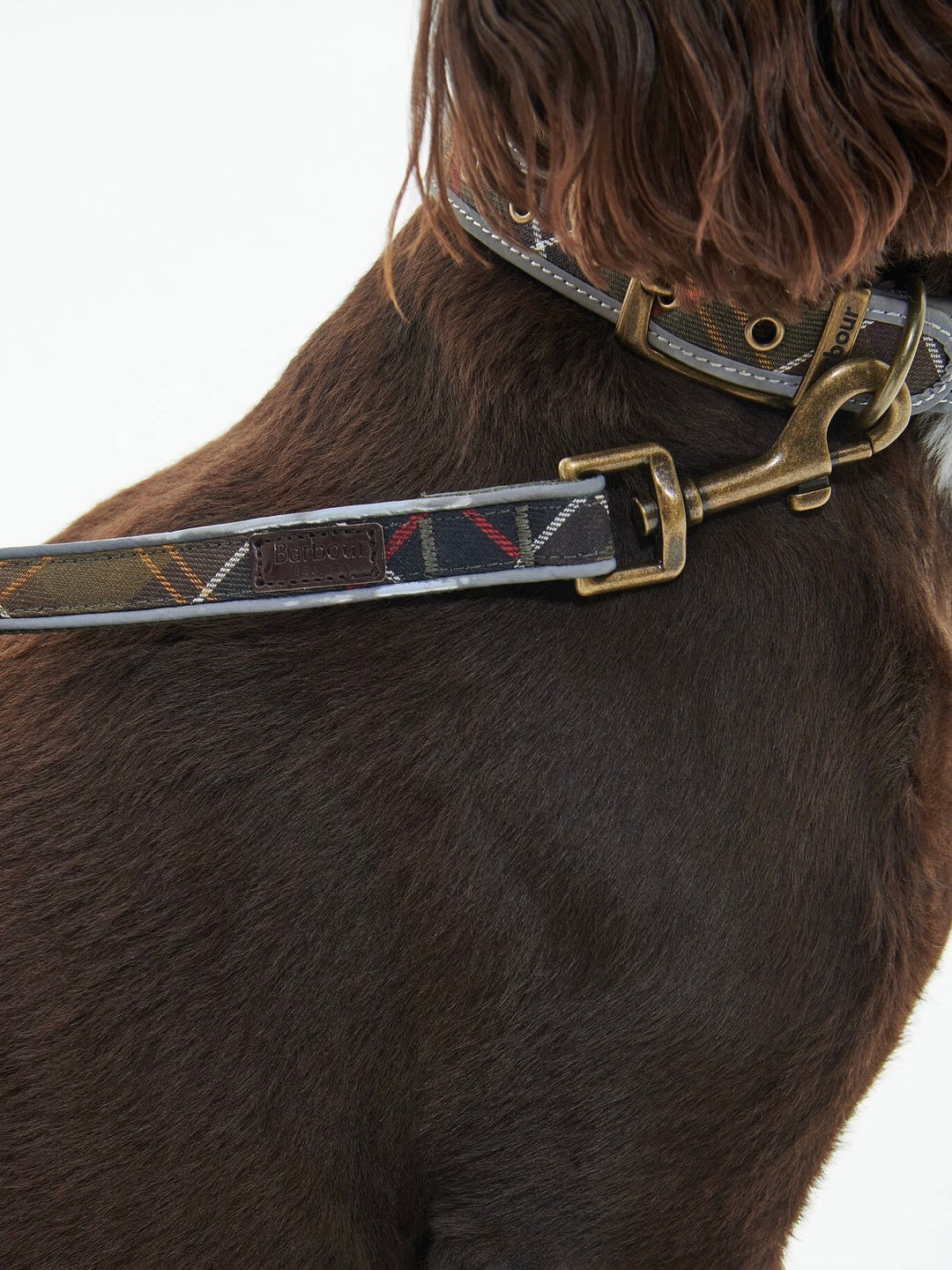 Reflective Tartan Comfort Lead