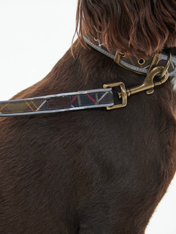 Reflective Tartan Comfort Lead