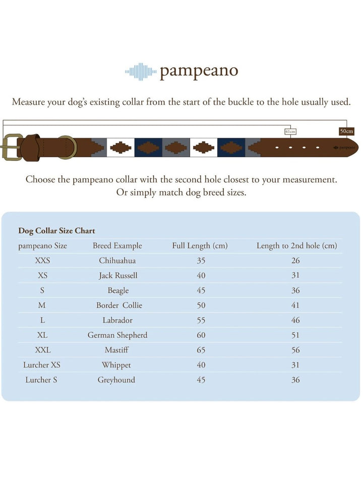 Pampa Dog Collar