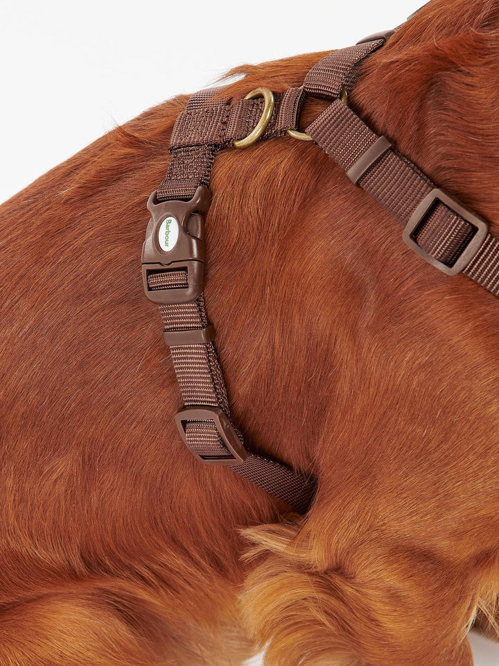 Trvavel/Exercise Dog Harness
