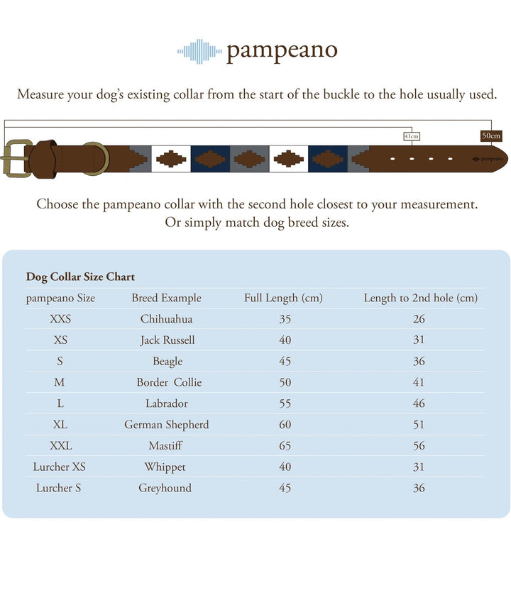 Pampa Dog Collar piedra