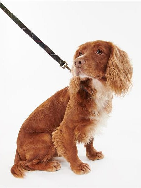 Tartan Dog Lead