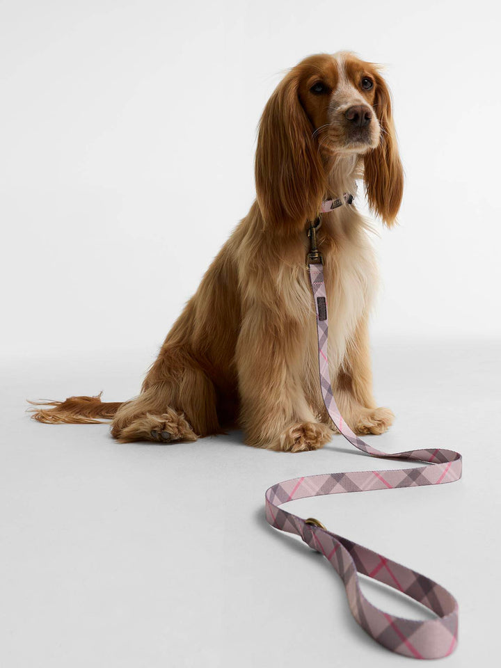 Tartan Printed Dog Lead