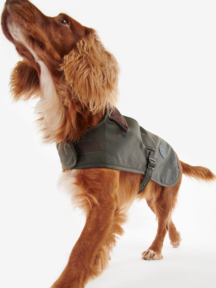 Barbour Wax Dog Coat