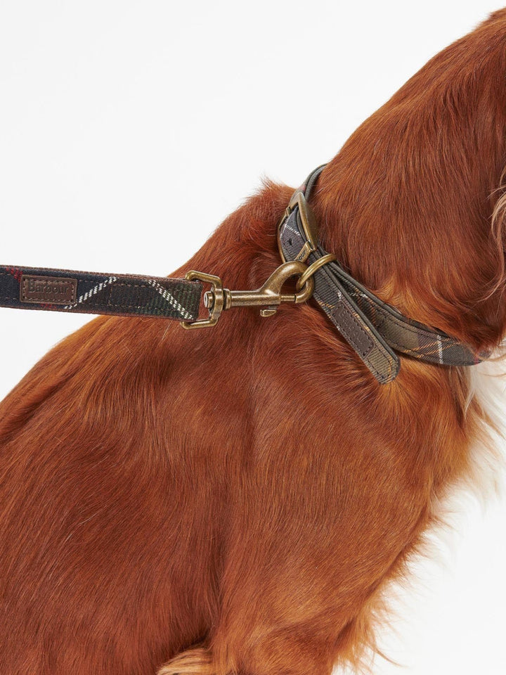 Tartan dog lead