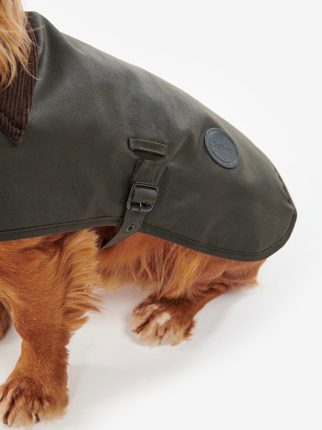 Barbour Wax Dog Coat
