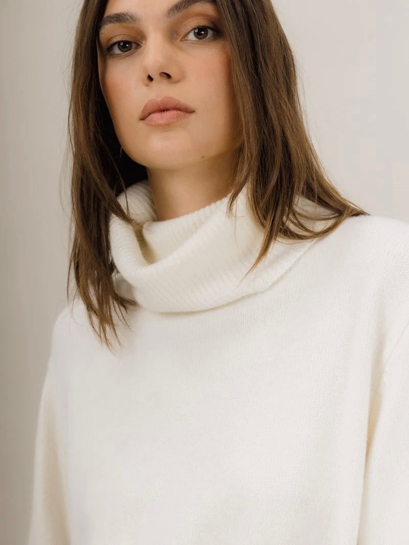 Arwyn Ss Turtleneck