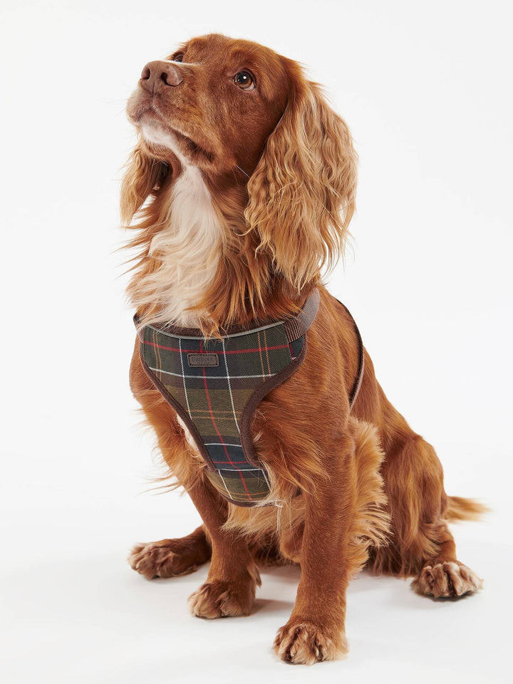 Trvavel/Exercise Dog Harness