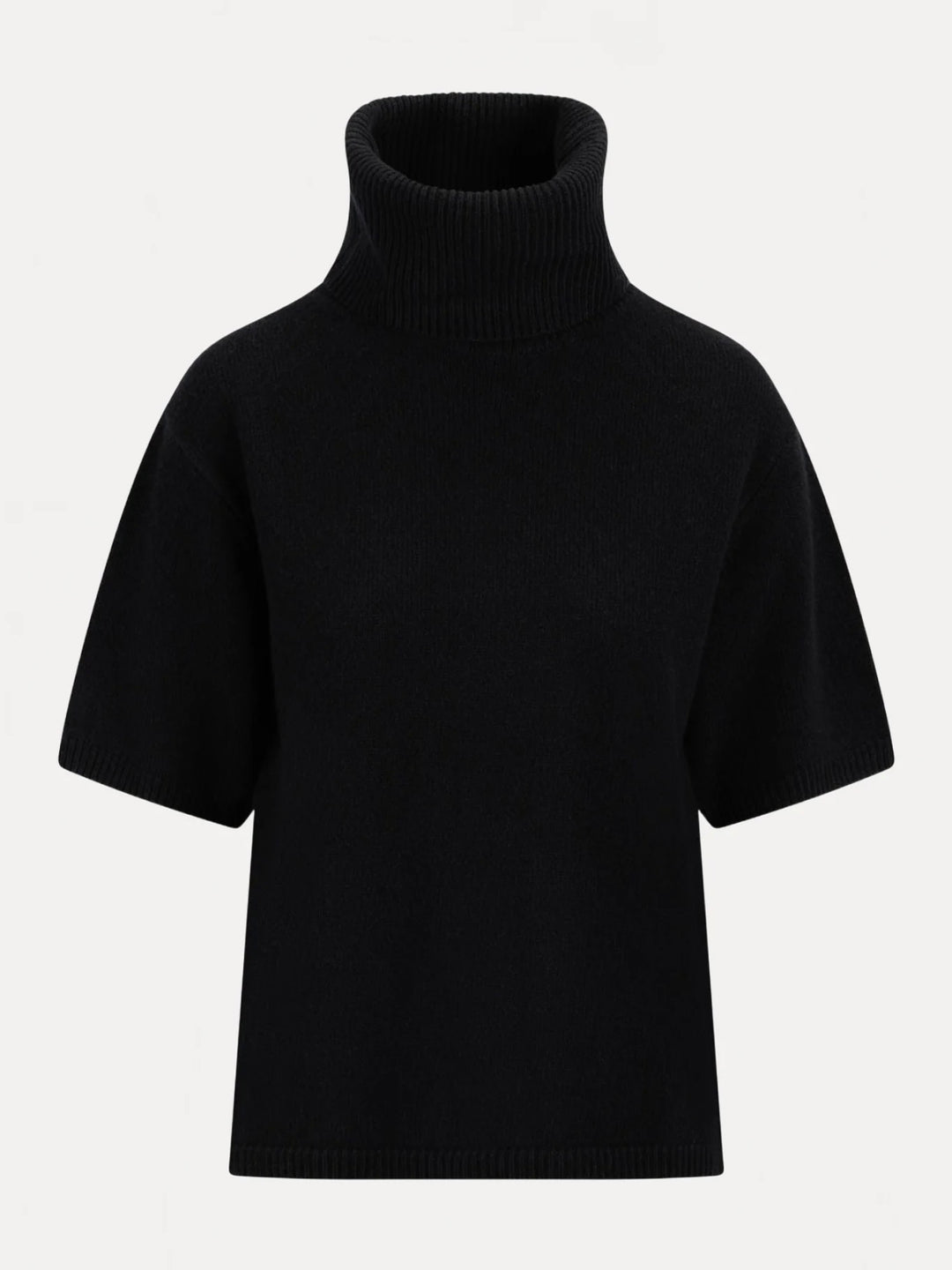 Arwyn Ss Turtleneck