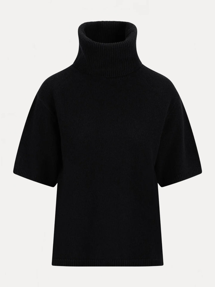Arwyn Ss Turtleneck