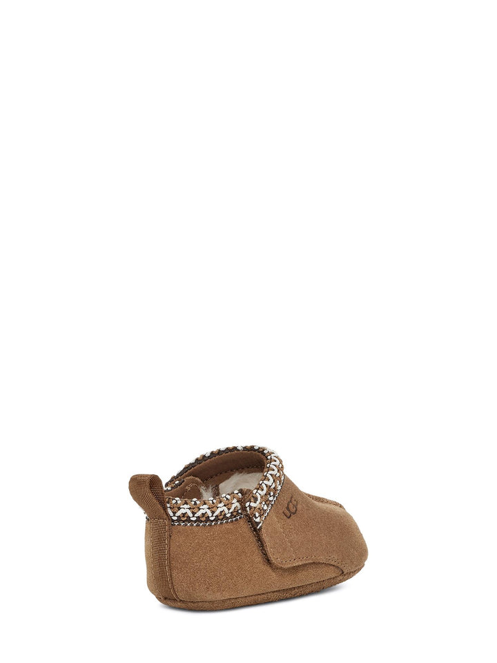 Baby tasman