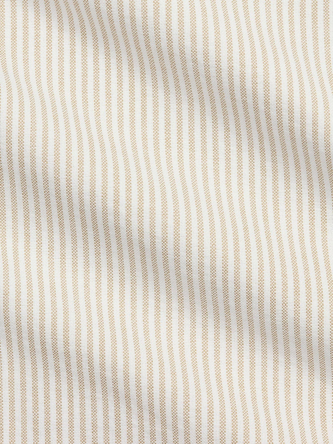 Custom fit striped oxford shirt