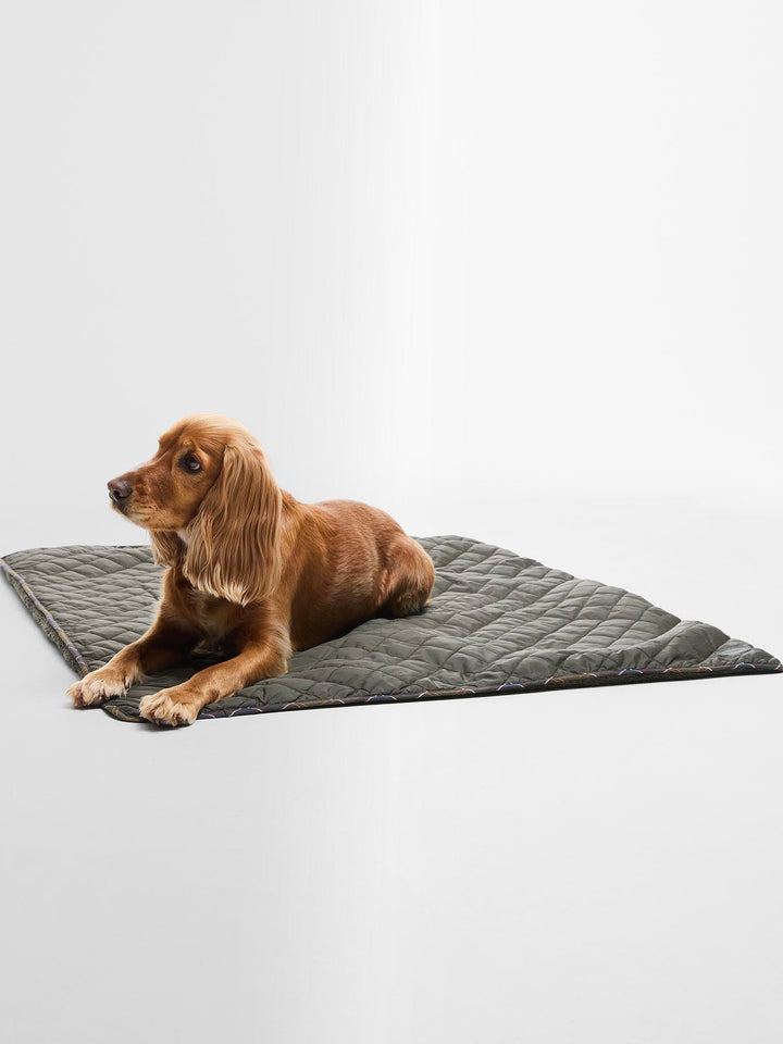Dog Quilt & Fleece Blanket