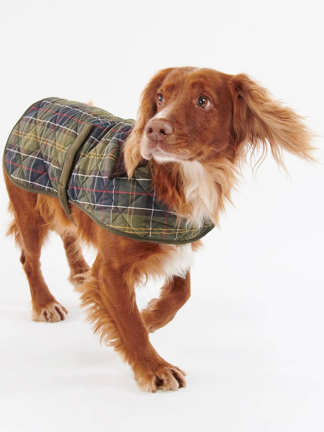Tartan Dog Coat
