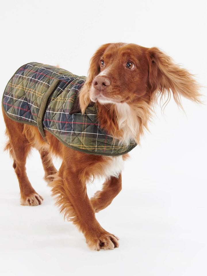Tartan Dog Coat