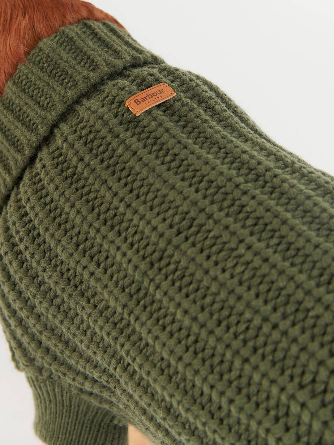 Saltburn Dog Jumper