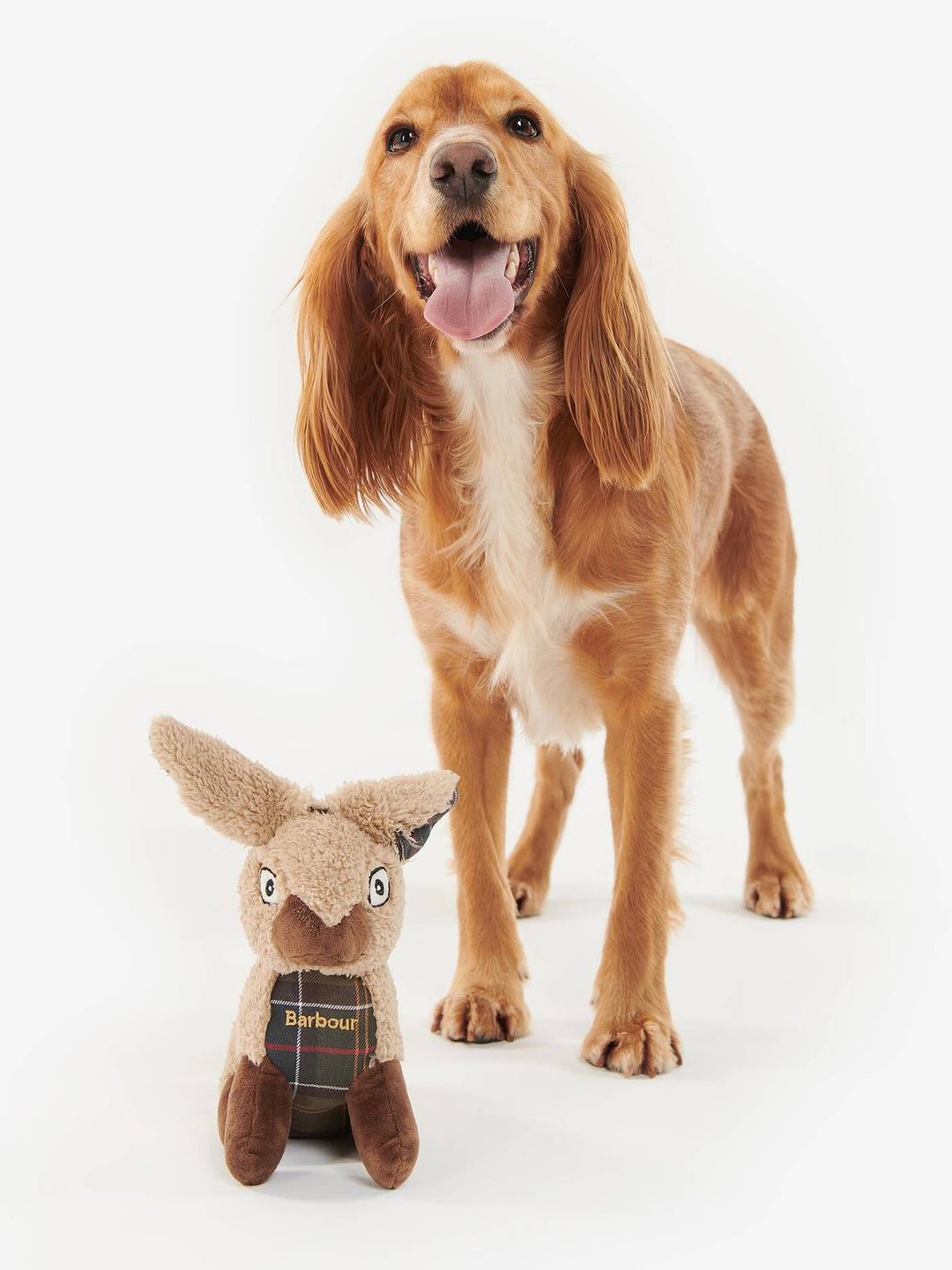 Barbour Rabbit Dog Toy