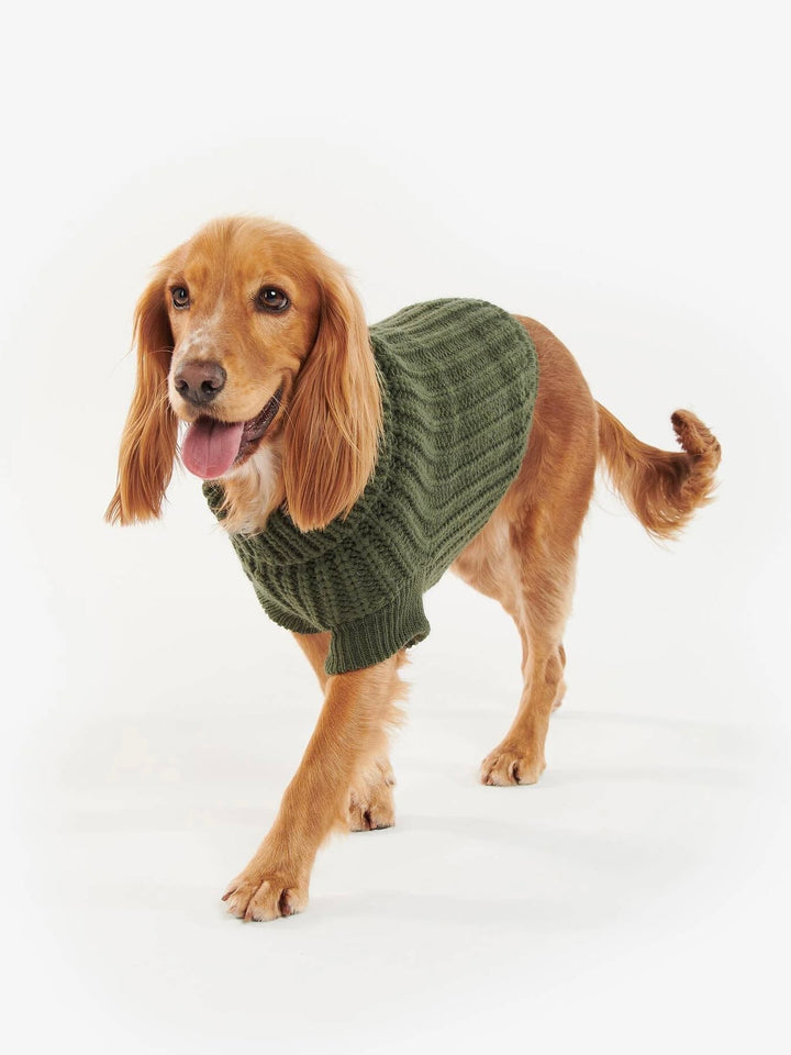 Saltburn Dog Jumper