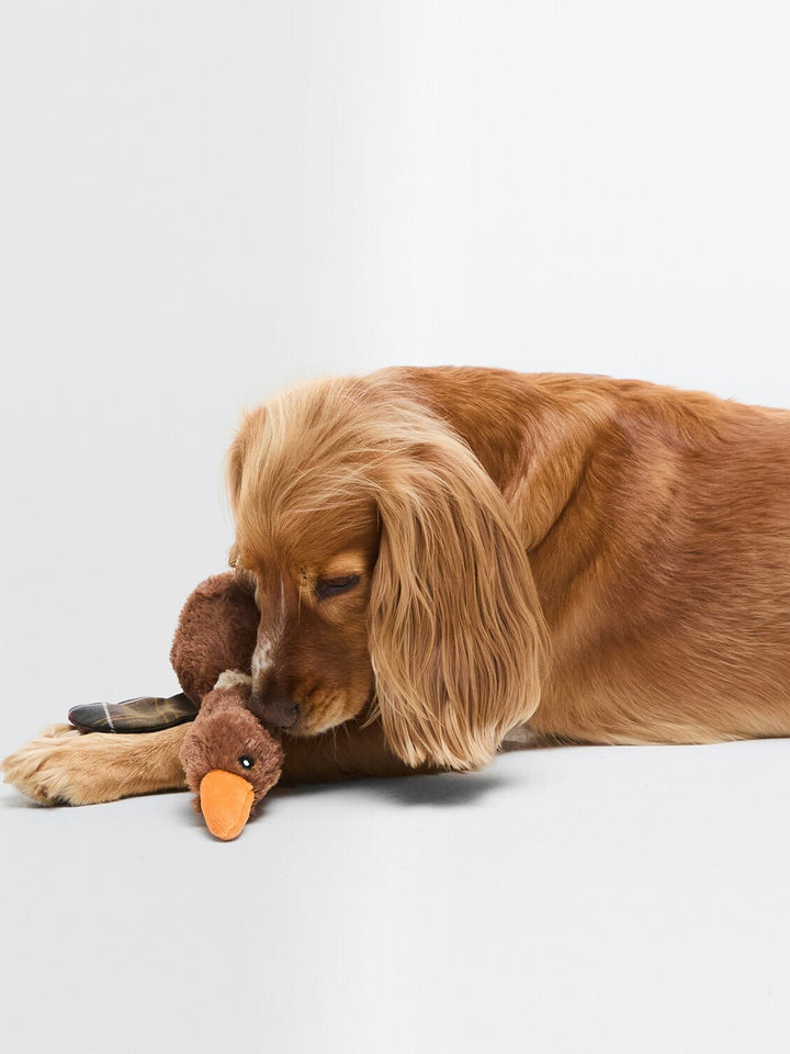 Dog Flying Duck Toy