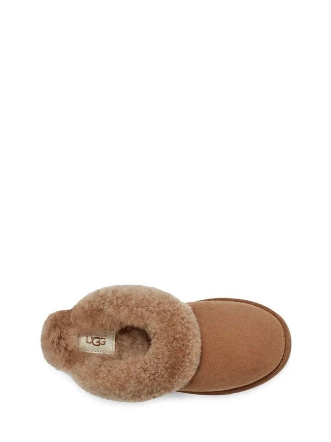 W Classic slipper