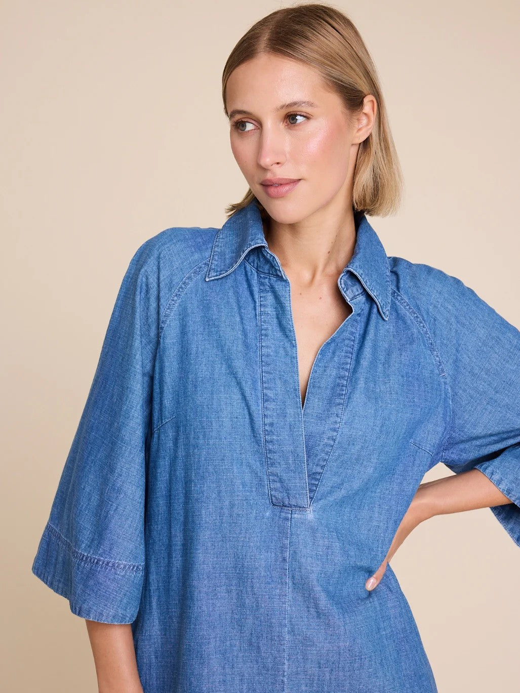 Momo Denim Dress
