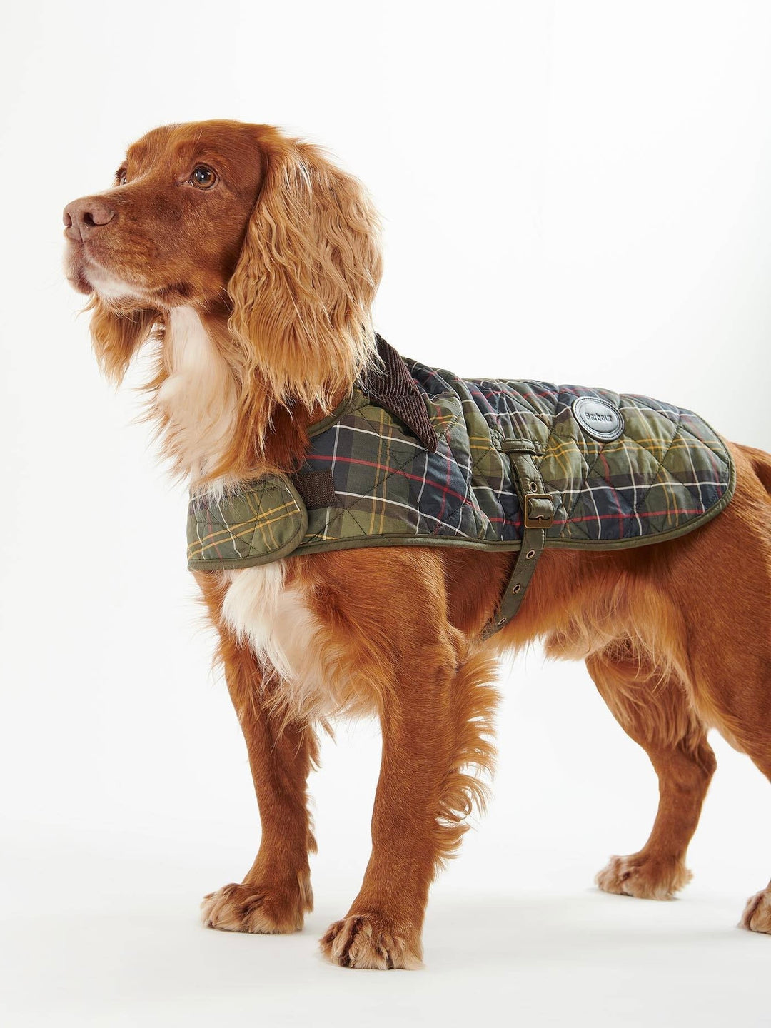 Tartan Dog Coat