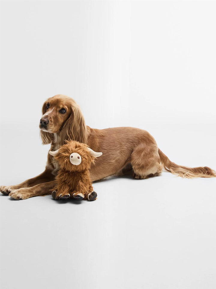 Dog Highland Cow Toy