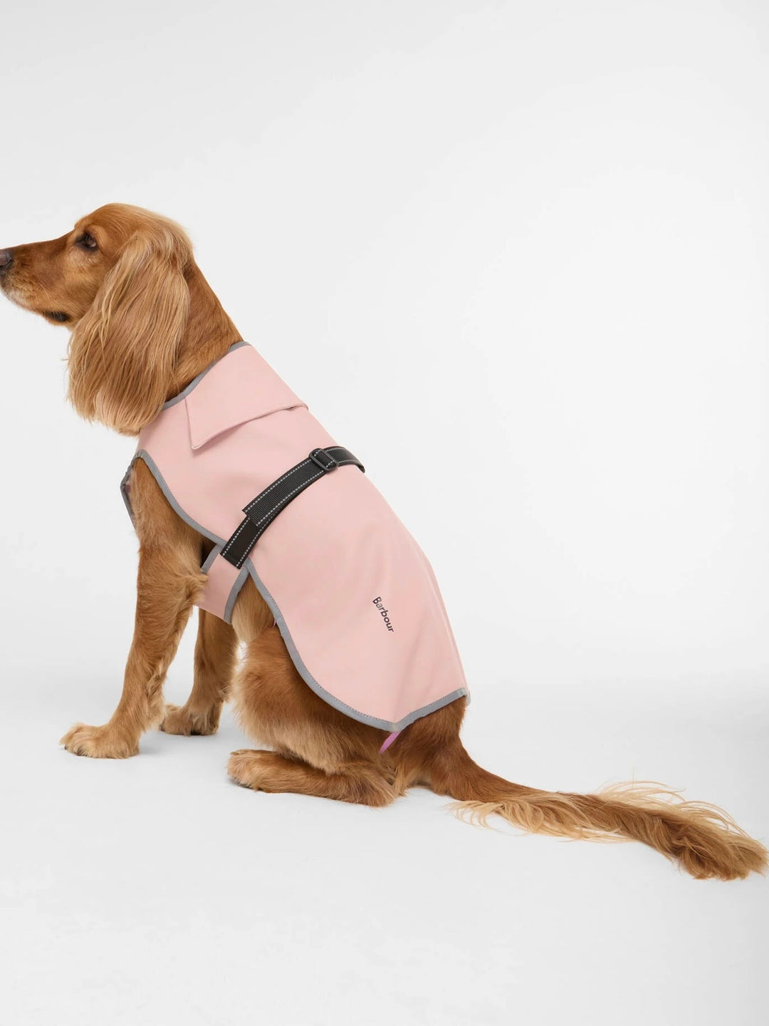 Evie Waterproof Dog Coat
