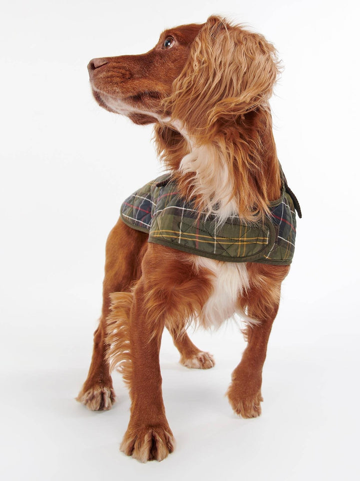 Tartan Dog Coat