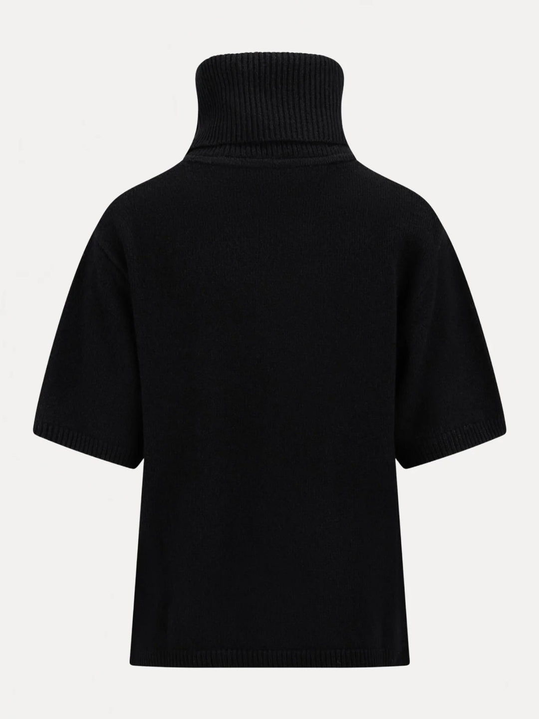 Arwyn Ss Turtleneck