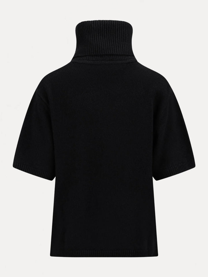 Arwyn Ss Turtleneck
