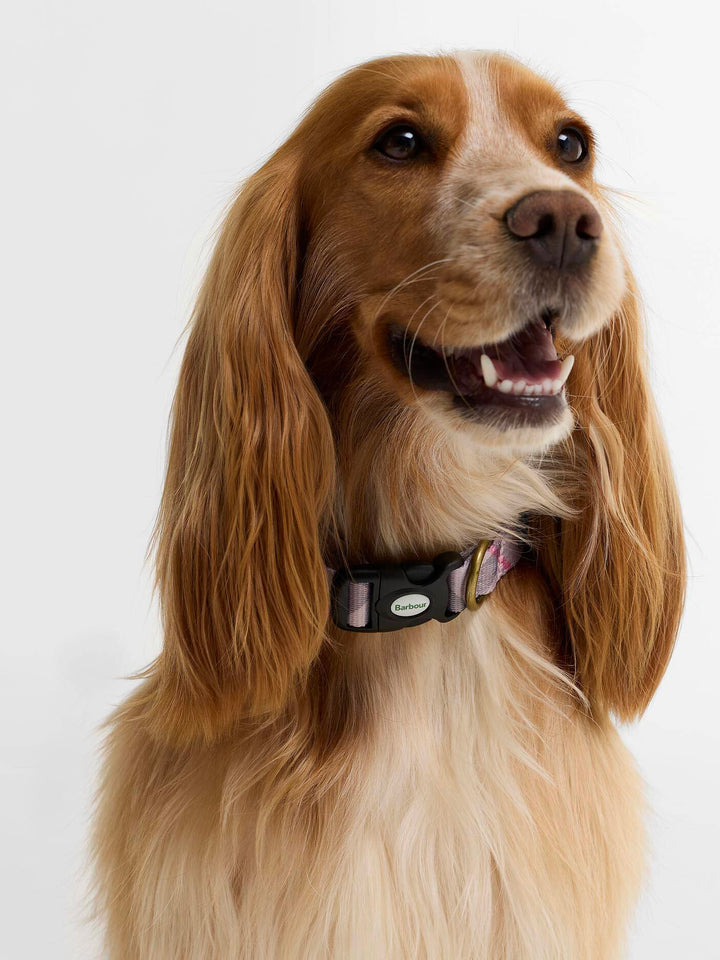 Tartan Printed Dog Collar