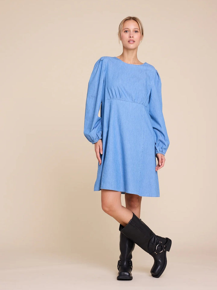 Miller Short Denim Dress