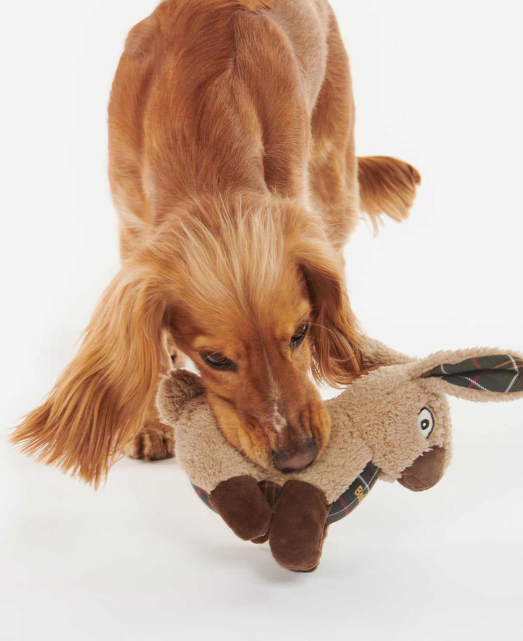 Dog rabbit toy