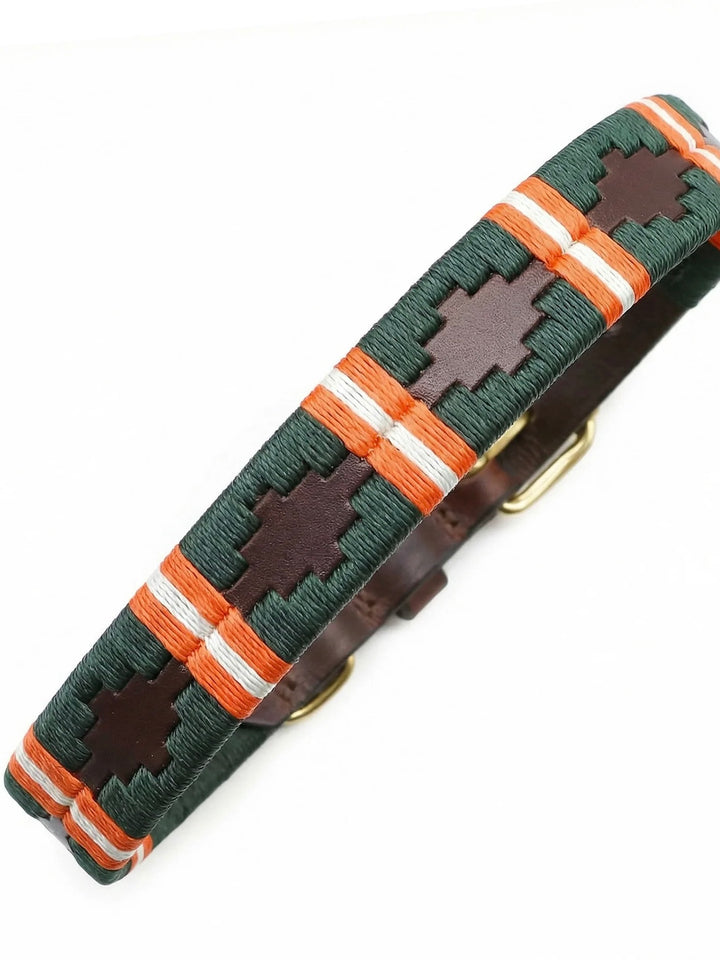 Pampa dog collar