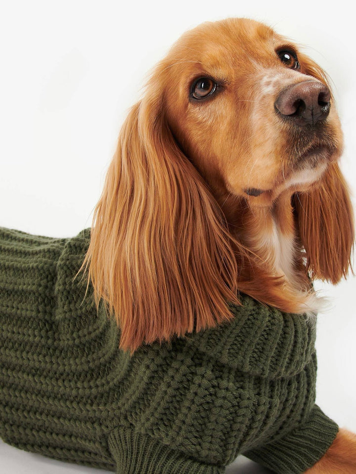 Saltburn Dog Jumper