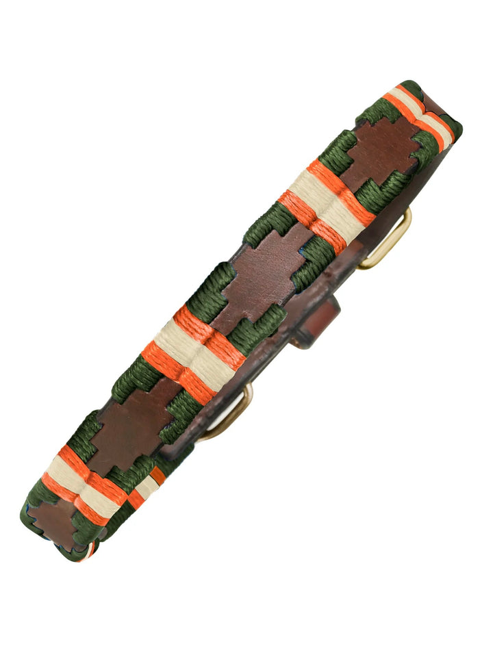 Pampa dog collar